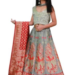 Lehenga For kids - 2
