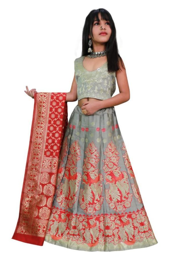 Lehenga For kids - 2