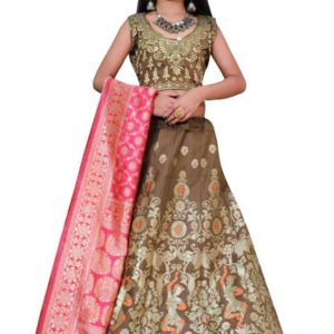 Lehenga For kids - 6