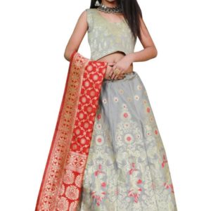 Lehenga For kids - 5