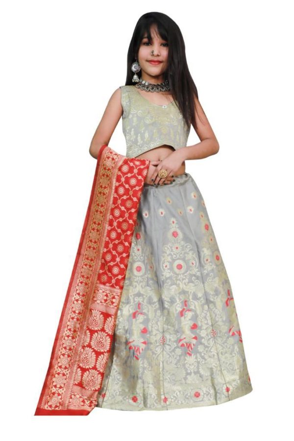 Lehenga For kids - 5
