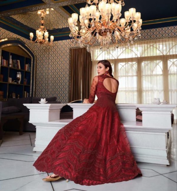 Zara Anarkali - Image 3