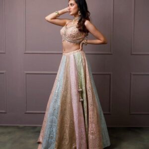 Mehndi Lehanga (2024 Collection) - Multi Shade