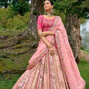 Partywear Lehanga (2024 Collection) - Dark Pink with Light Pink
