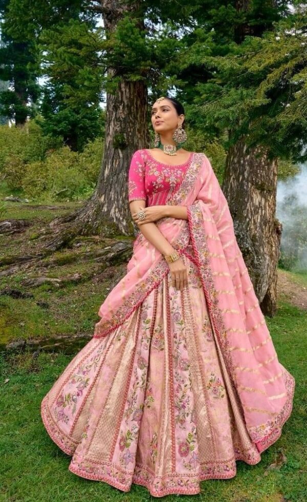 Partywear Lehanga (2024 Collection) - Dark Pink with Light Pink